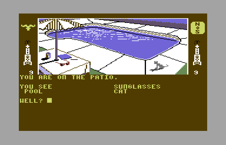 Dallas Quest, The Commodore 64 Screenshot: The pool out back.