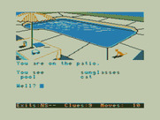 Dallas Quest, The for TRS-80 Color Computer - The pool out back.