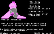 Dave Winfield's Batter Up! for IBM PC/Compatibles - The grip...