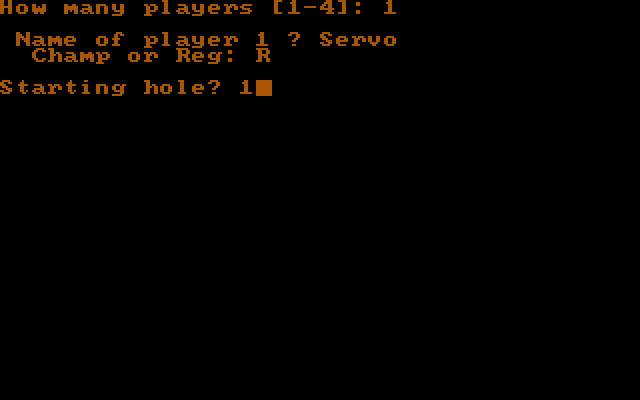 Golf's Best: Pinehurst - World's Premier Golf Course IBM PC/Compatibles Screenshot: Setting up the players...