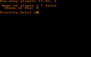 Golf's Best: Pinehurst - World's Premier Golf Course for IBM PC/Compatibles - Setting up the players...