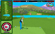 Wilson ProStaff Golf for IBM PC/Compatibles - The red ball on the meter moves randomly and indicates your accuracy.