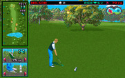 Wilson ProStaff Golf for IBM PC/Compatibles - That wasn't a great shot...I'm far from the fairway!