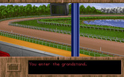 Quarter Pole for IBM PC/Compatibles - Just in time for a race to begin...