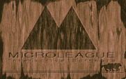 Quarter Pole for IBM PC/Compatibles - Microleague logo screen.