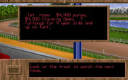 Quarter Pole for IBM PC/Compatibles - About the first race...