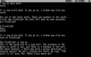 Granny's Place for IBM PC/Compatibles - I found a flashlight!