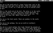 Granny's Place for IBM PC/Compatibles - Exploring the grounds.