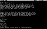 Granny's Place for IBM PC/Compatibles - Checking my inventory...