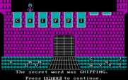 Wizard of Words for IBM PC/Compatibles - I didn't guess the word in time.