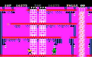 Bruce Lee for IBM PC/Compatibles - Running from a green opponent...
