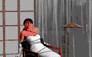 David Wolf: Secret Agent for IBM PC/Compatibles - Kelly is tied up; can you help her?