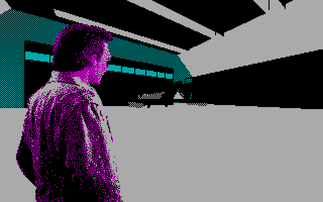 David Wolf: Secret Agent IBM PC/Compatibles Screenshot: A plane? I could use one of those to escape!