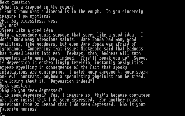 Racter IBM PC/Compatibles Screenshot: The responses don't always make sense...