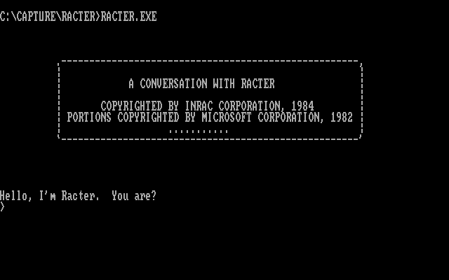 Racter IBM PC/Compatibles Screenshot: Starting the game...