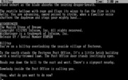 Wishbringer for IBM PC/Compatibles - What will you do next?