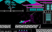 Bushido for IBM PC/Compatibles - Enemy defeated.