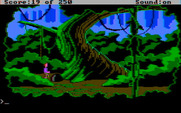 Space Quest II: Chapter II - Vohaul's Revenge for IBM PC/Compatibles - This forest is dense...