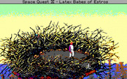 Space Quest IV: Roger Wilco and the Time Rippers for IBM PC/Compatibles - Maybe should get out of this nest...