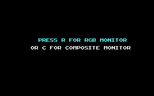 Flightmare IBM PC/Compatibles Screenshot: Monitor type selection.