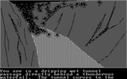 Quest, The for IBM PC/Compatibles - In a dark tunnel...be careful!