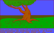 Quest, The for IBM PC/Compatibles - At the top of a steep cliff...