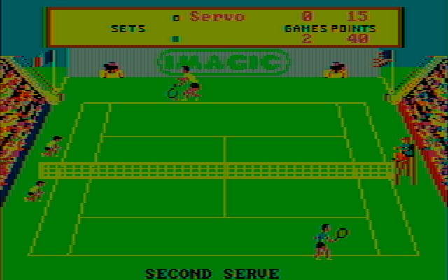 Tournament Tennis IBM PC/Compatibles Screenshot: Second serve...