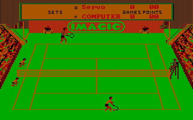 Tournament Tennis IBM PC/Compatibles Screenshot: Ready to serve...