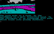Treasure Island for IBM PC/Compatibles - A fork in the path ahead requires a decision