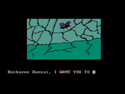 Adventures of Buckaroo Banzai: Across the Eighth Dimension, The for IBM PC/Compatibles - What have we here?