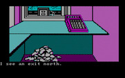 Adventures of Buckaroo Banzai: Across the Eighth Dimension, The for IBM PC/Compatibles - Anything hidden under that pile of stuff on the floor?