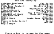 King's Quest III: To Heir is Human for IBM PC/Compatibles - Inventory screen; Items with an * can be trouble if you are caught with them!