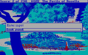 King's Quest IV: The Perils of Rosella for IBM PC/Compatibles - Examining a pond.
