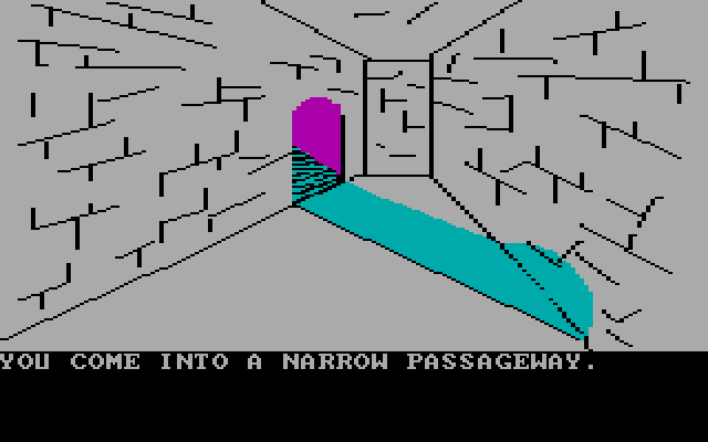 Amazon IBM PC/Compatibles Screenshot: A narrow passageway...