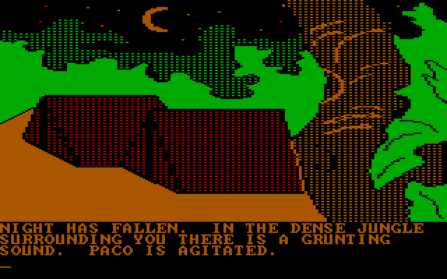 Amazon IBM PC/Compatibles Screenshot: The camp at night.