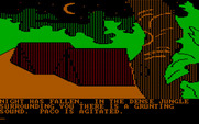 Amazon for IBM PC/Compatibles - The camp at night.