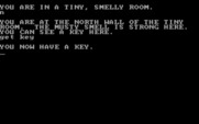 Amazon for IBM PC/Compatibles - I now have a key.