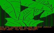 Amazon for IBM PC/Compatibles - You're off to the Amazon, where adventure awaits!