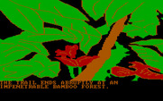 Amazon for IBM PC/Compatibles - The trail ends...