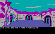 Amazon for IBM PC/Compatibles - An open courtyard...which way from here?