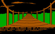 Amazon for IBM PC/Compatibles - Hmm, is this bridge safe?