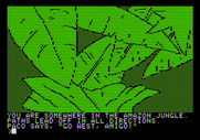 Amazon for Apple II - Lost in the jungle...