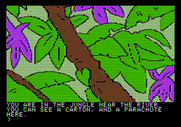 Amazon for Apple II - Let's see, I found where the supplies landed; anything useful in this crate?