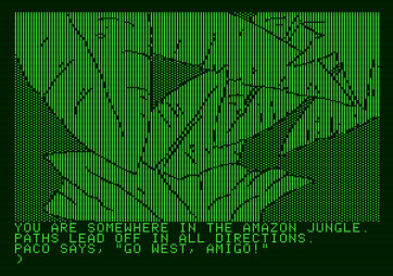 Amazon for Apple II - Now I'm really lost...