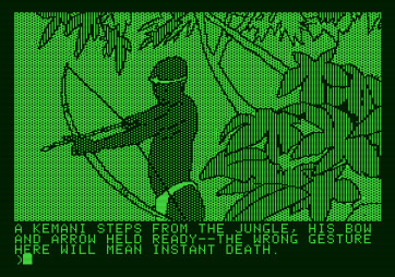 Amazon for Apple II - Be careful here!