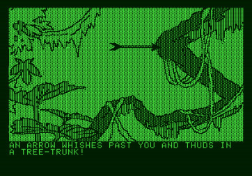 Amazon for Apple II - Thwack! Hey, who's shooting arrows at me?