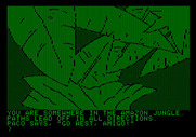 Amazon for Apple II - Now I'm really lost...