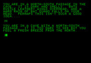 Amazon for Apple II - Let's try going north here...