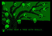 Amazon for Apple II - This looks ominous...