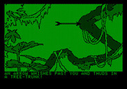 Amazon for Apple II - Thwack! Hey, who's shooting arrows at me?
